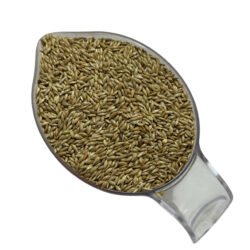 Vaesen Kanada Aspuru (Sade Kanarya) Yemi