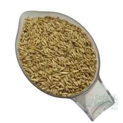 Yeni Mahsul Kabuksuz Yulaf, besleyici ve sağlıklı bir seçenek olarak kahverengi tonlarıyla dikkat çekiyor.