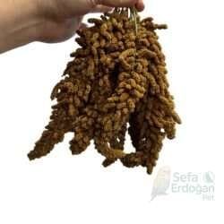 İri ve Orta Boy Tilki Kuyruk Kızıl Dal Darı, doğal yapısıyla dikkat çeken kaliteli bir ürün.