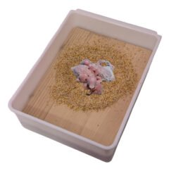 Agran 20 Numara Mısır Granülü ( Çıkım Dönemi Malzemesi)