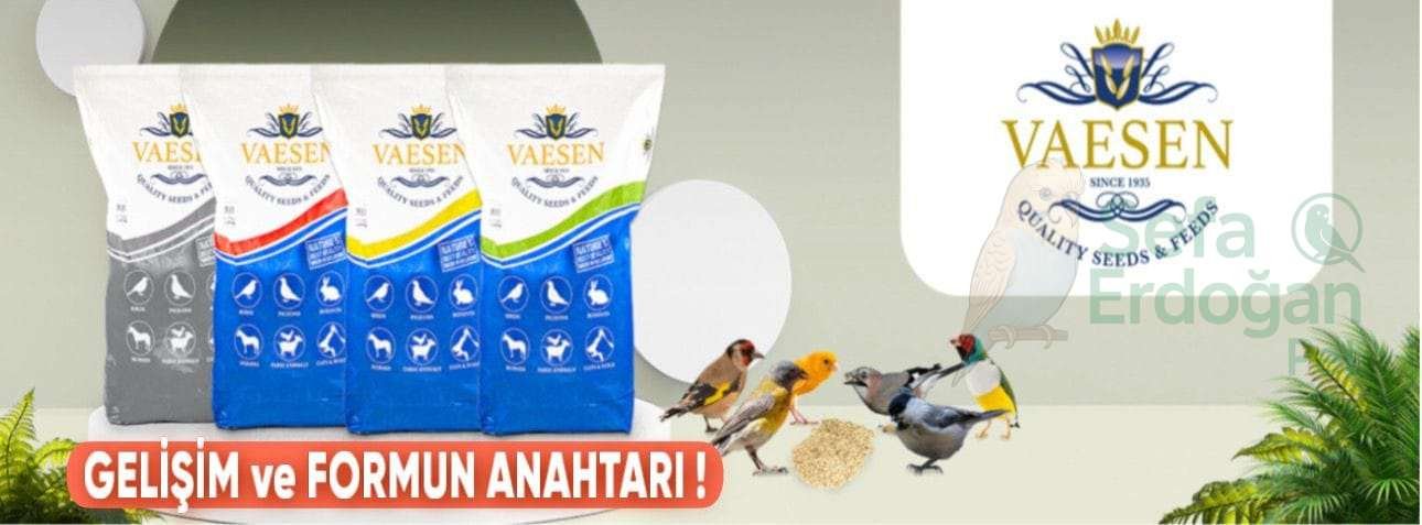 Vaesen marka çeşitli kuş yemleri paketleri, ön planda kuşlar ile birlikte.