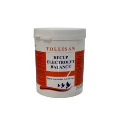 Tollisan Recup Electrolyt Balance Elektrolit ve Enerji Destek Takviyesi