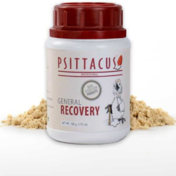 Psittacus General Recovery Hasta Kuşlara Özel Elle Besleme Maması 100 Gr
